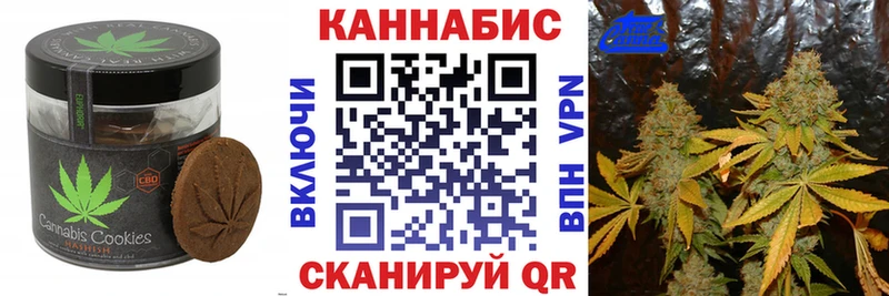 МЕГА вход  где купить наркоту  Шагонар  Canna-Cookies марихуана 
