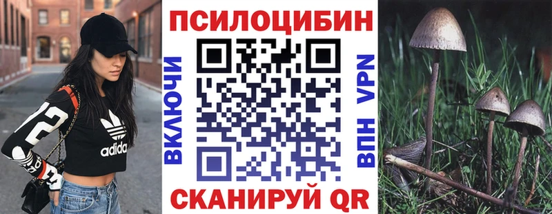 Псилоцибиновые грибы Psilocybine cubensis  где найти   Шагонар 